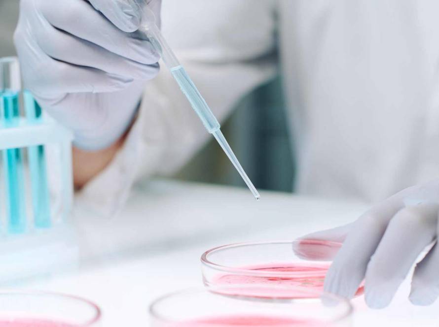 Latest Trends in Anti-Aging Stem Cell Treatments