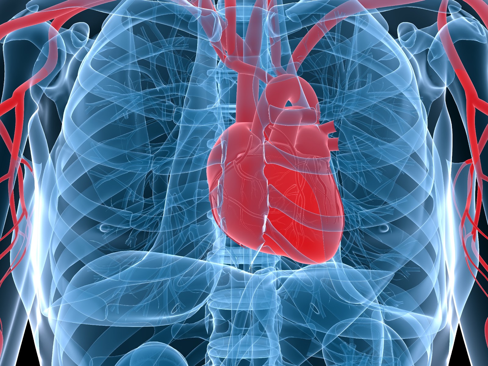Heart Failure Stem Cell Therapy