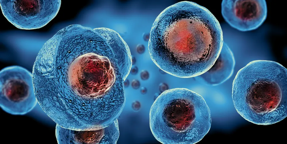 Stem cell therapy for ED