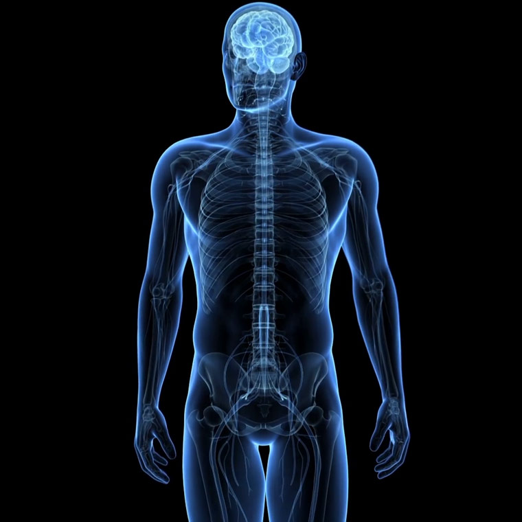 Stem Cell Treatment for Spinal Cord Injury